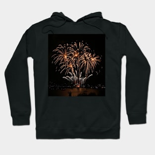 Palm Tree Fireworks Hoodie